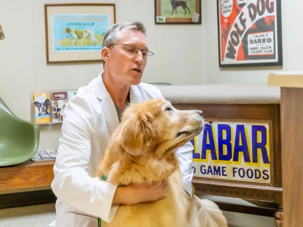 Dr. Jay Rowan examines dog