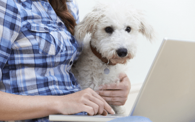 Is Take Your Dog To Work Day Right For Your Dog?