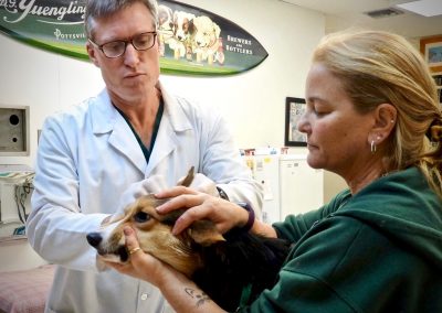 Dr. Rowan & Nurse Examining a Dog