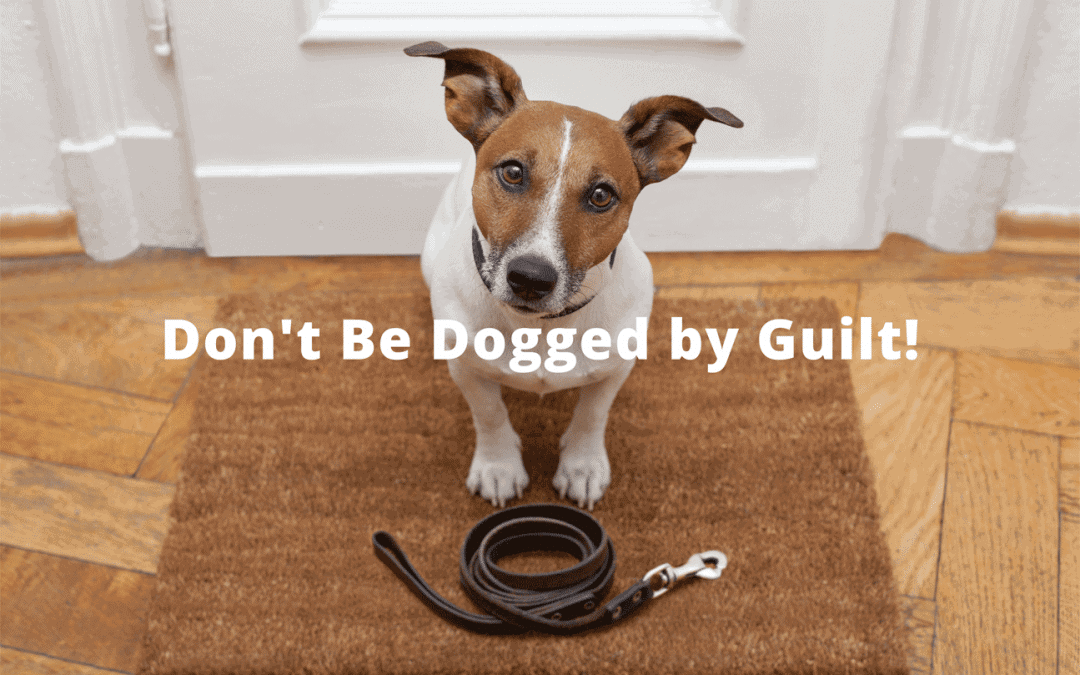 Is your Dog Overweight? Don’t Be Dogged by Guilt!