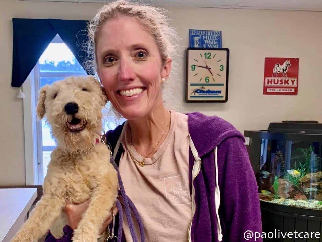 Checking in for Doggy Daycare at the front desk