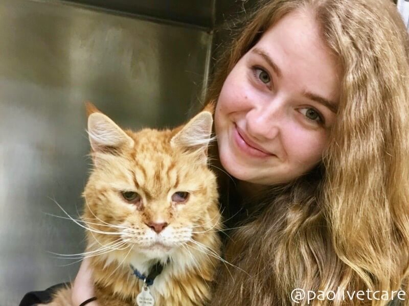 Kennel Assistant Kimberly with a vomiting cat