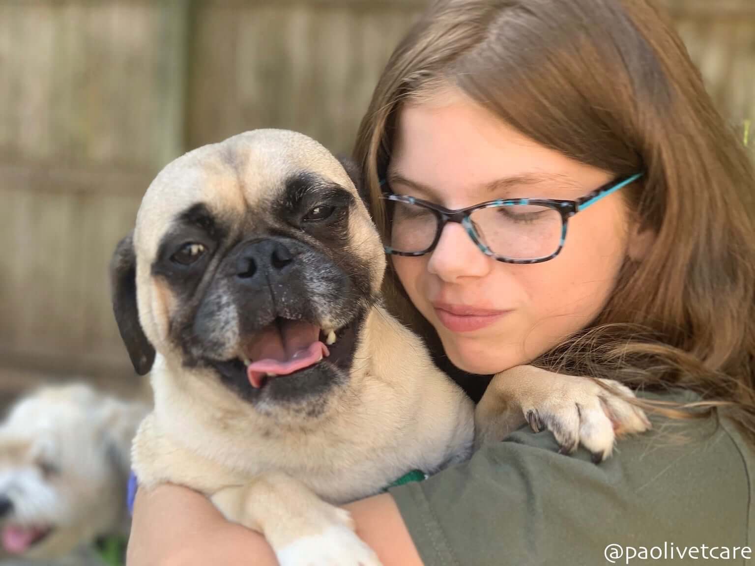 Kennel Assistant Katie with a boarding dog