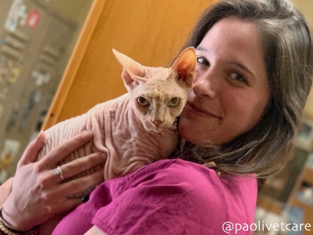 Receptionist Theresa with one of our hospital cats