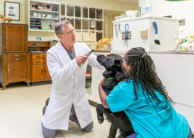 Dr. Rowan Sitting on Floor & Examining a Black Dog