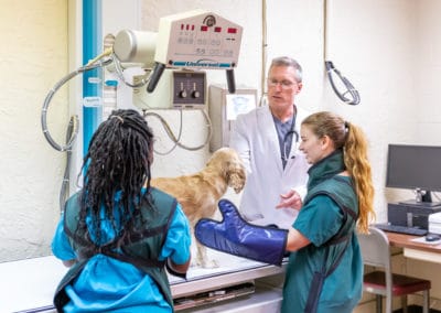 Dr. Rowan, Ayanna, and Kim Taking X-Ray of a Dog