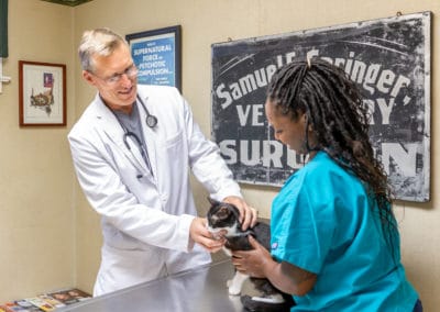 Dr. Rowan and Ayanna Examine a Cat