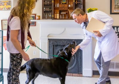 Dr. Rowan Greeting a Patient