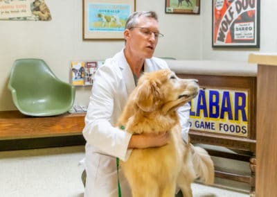 Dr. Rowan Examining a Big Dog on Floor