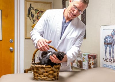 Dr. Rowan with a Basket of Kittens