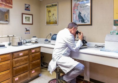 Dr. Rowan Examining a Specimen