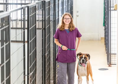 Katie in our boarding kennel