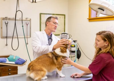 Dr. Jay Rowan & Susan Checking a Dog