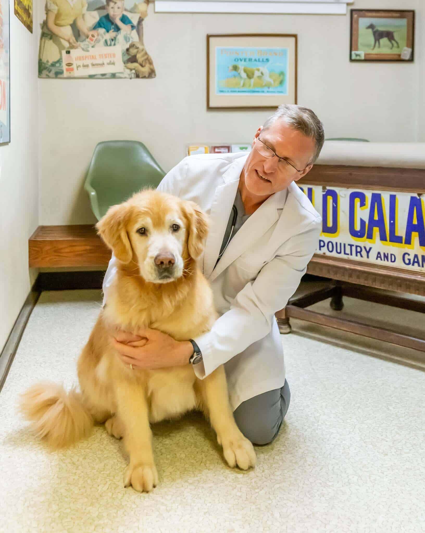 Vet Posing With Golden Retriever