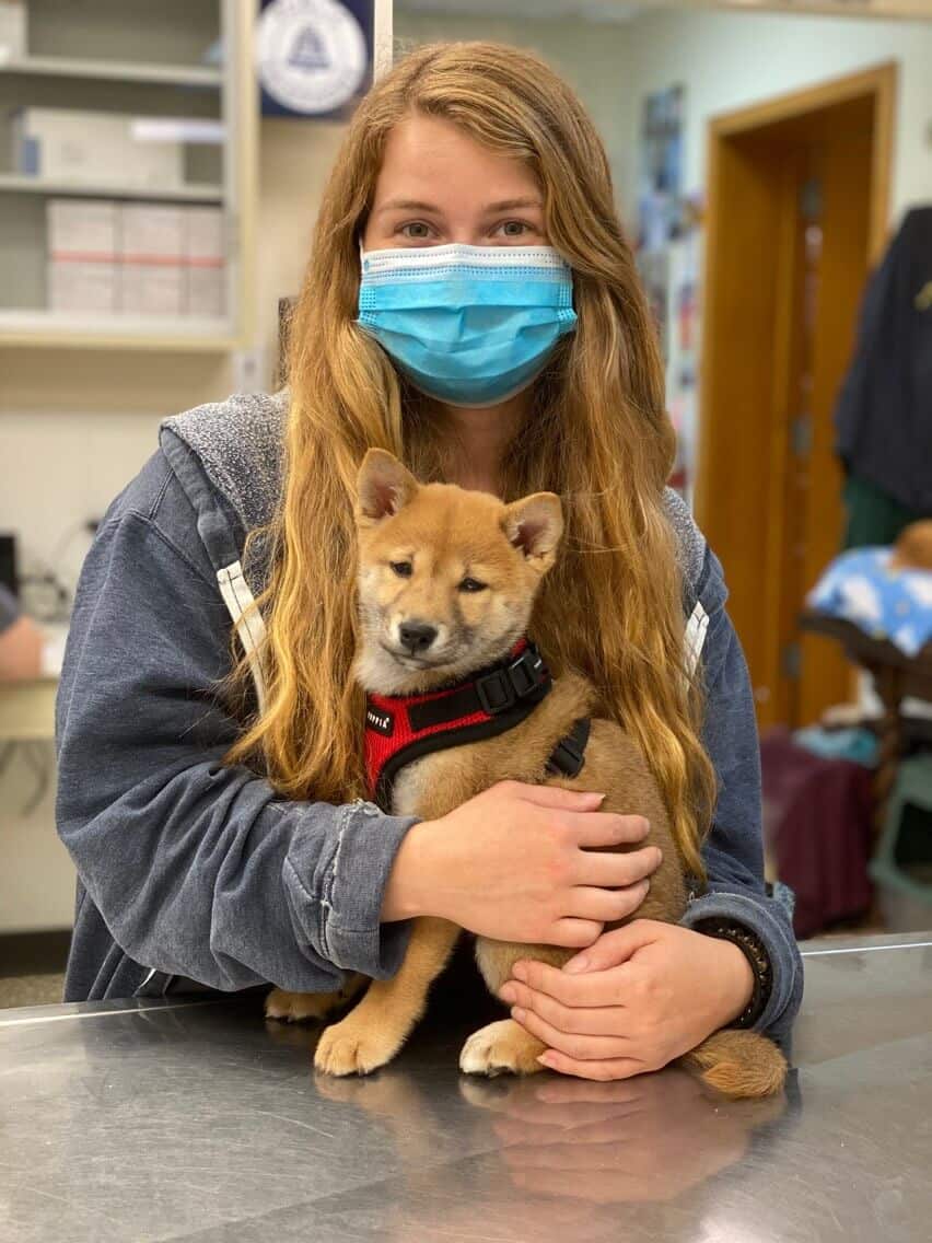 Assistant Kim holds a Shiba Inu