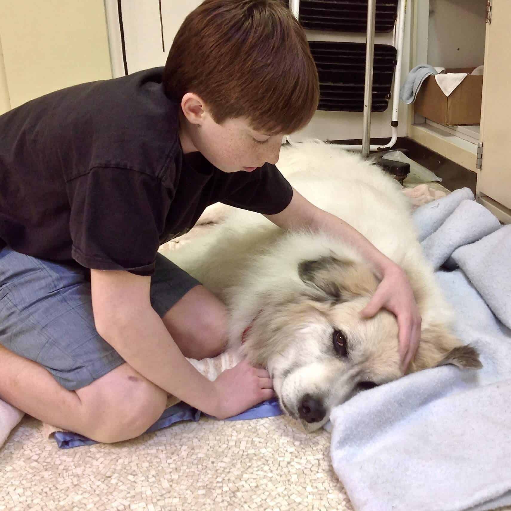 Compassionate care for kid's pets