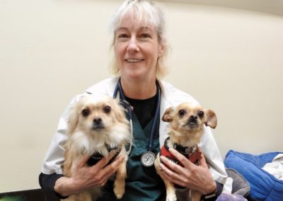 Dr. Dawn Urioste USDA certified vet with veterinary patients