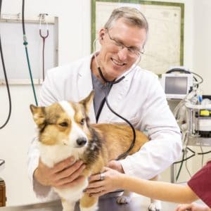 Dr. Jay Rowan