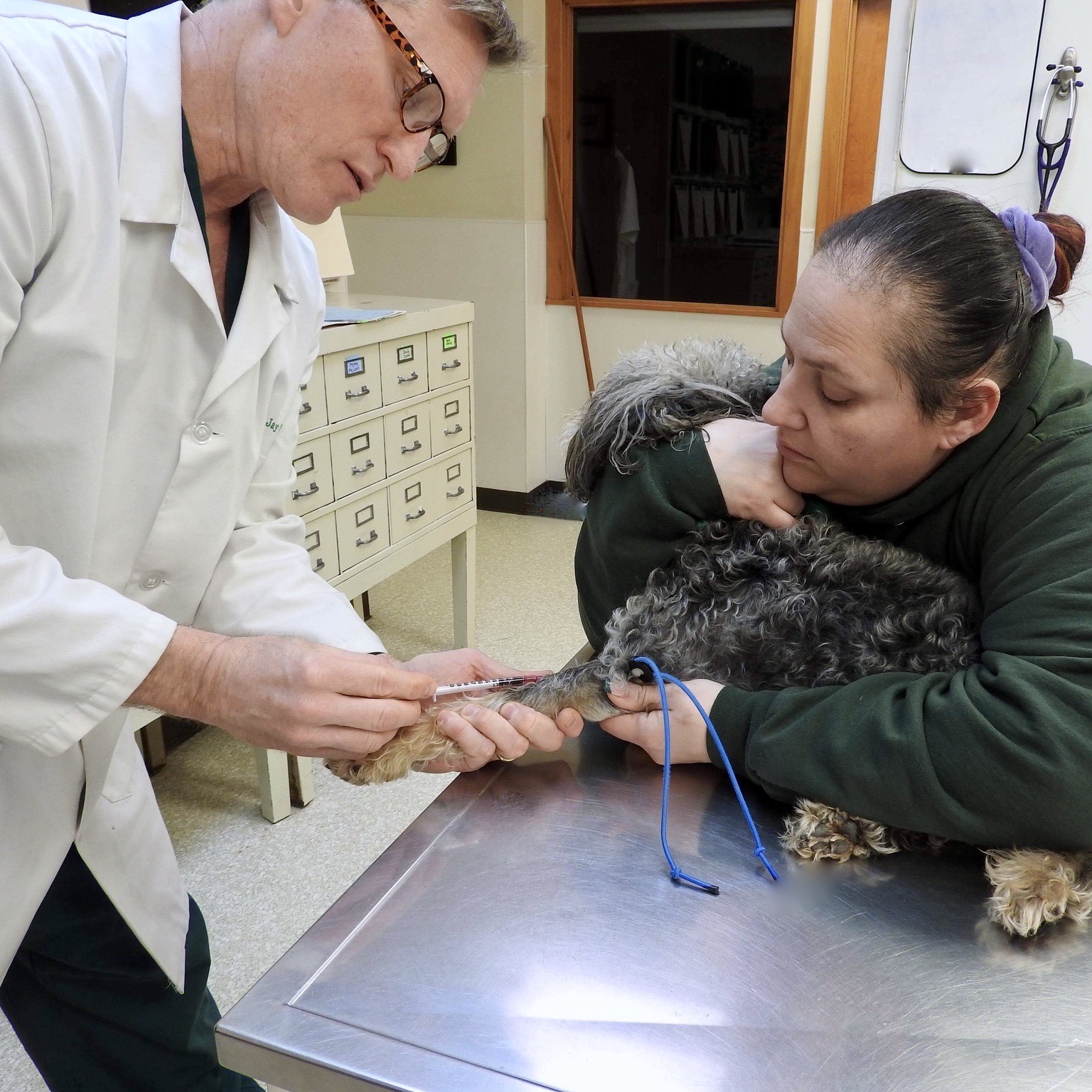 Emergency Vet — Vet Urgent Care — Paoli Vetcare