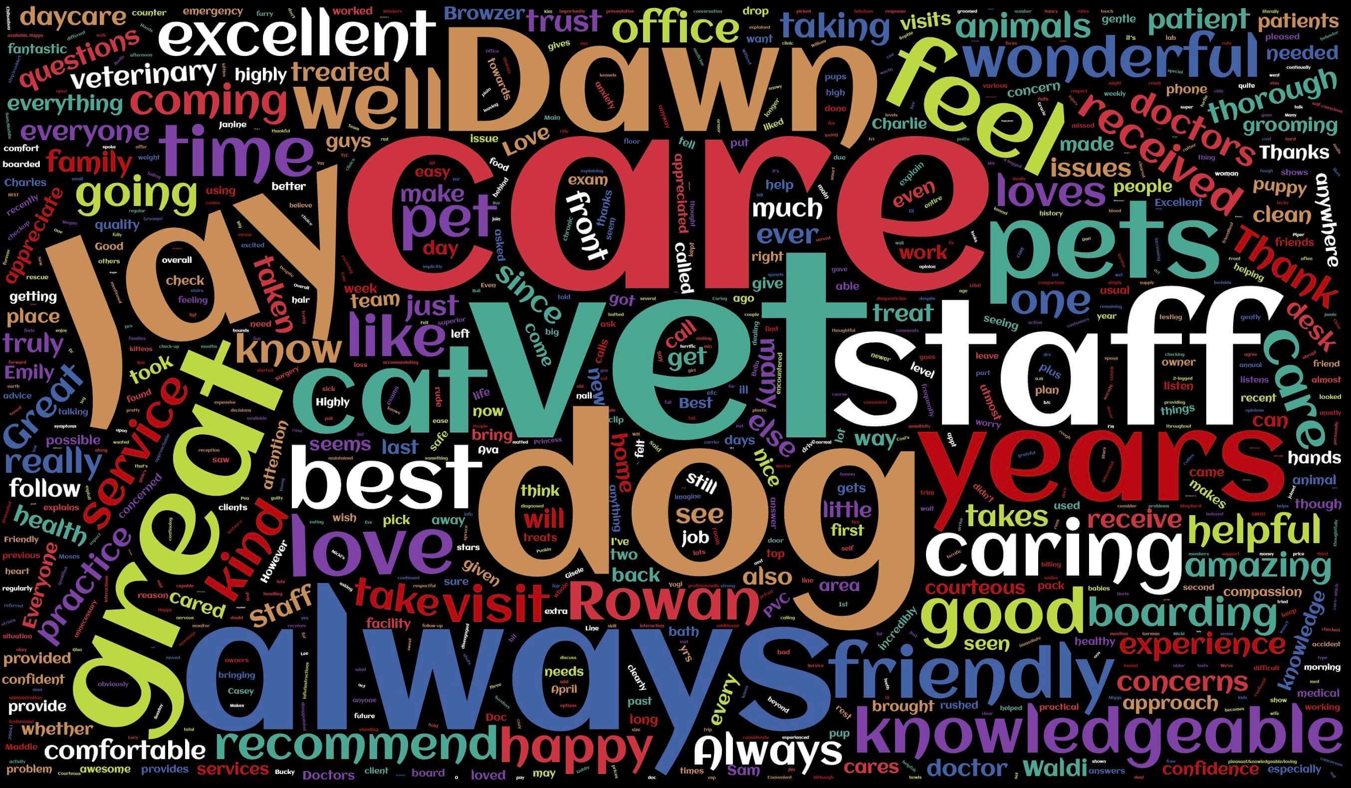 Colorful Veterinary Word Cloud