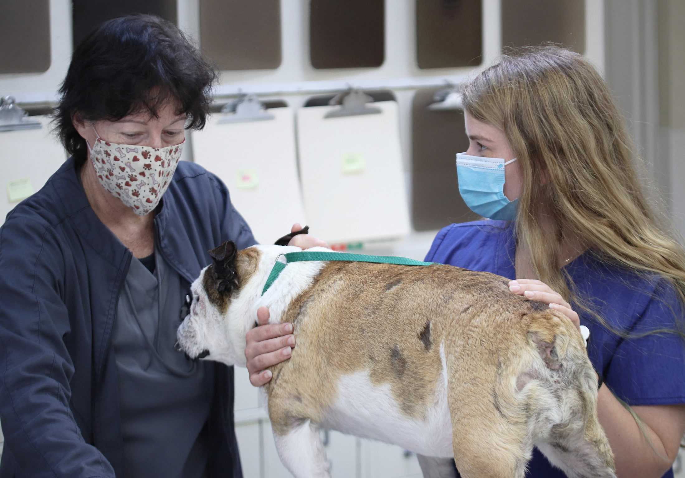 Dr. Urioste and Kennel