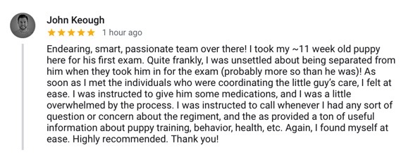 5 Star Veterinarian Customer Review