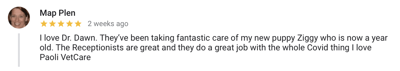 Paoli Vet Care Positive Review