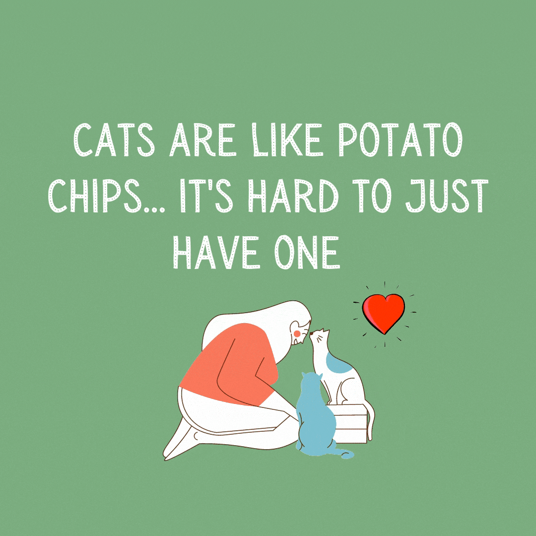 Cats Are Like Potato Chips