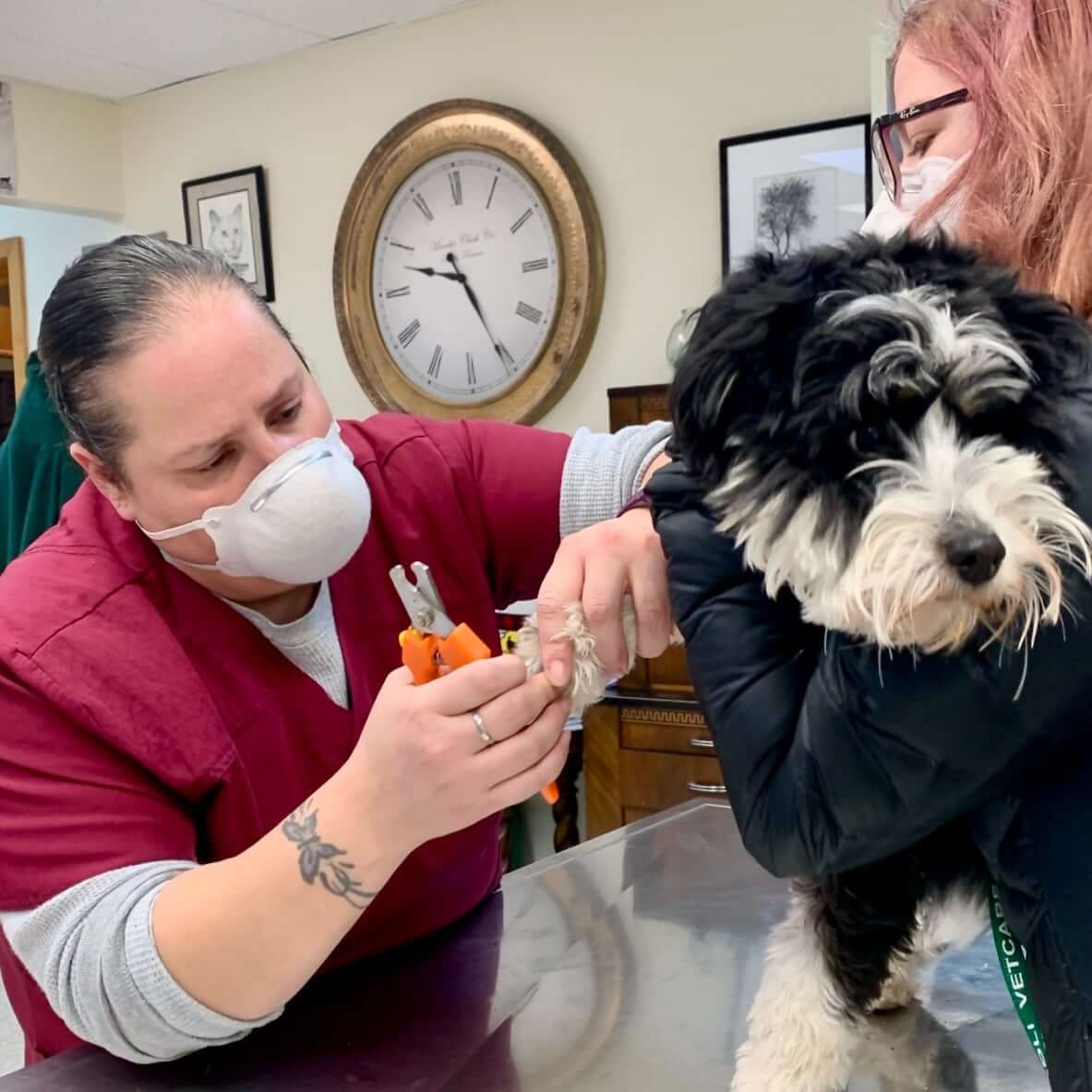 Nancy Veterinary Technician