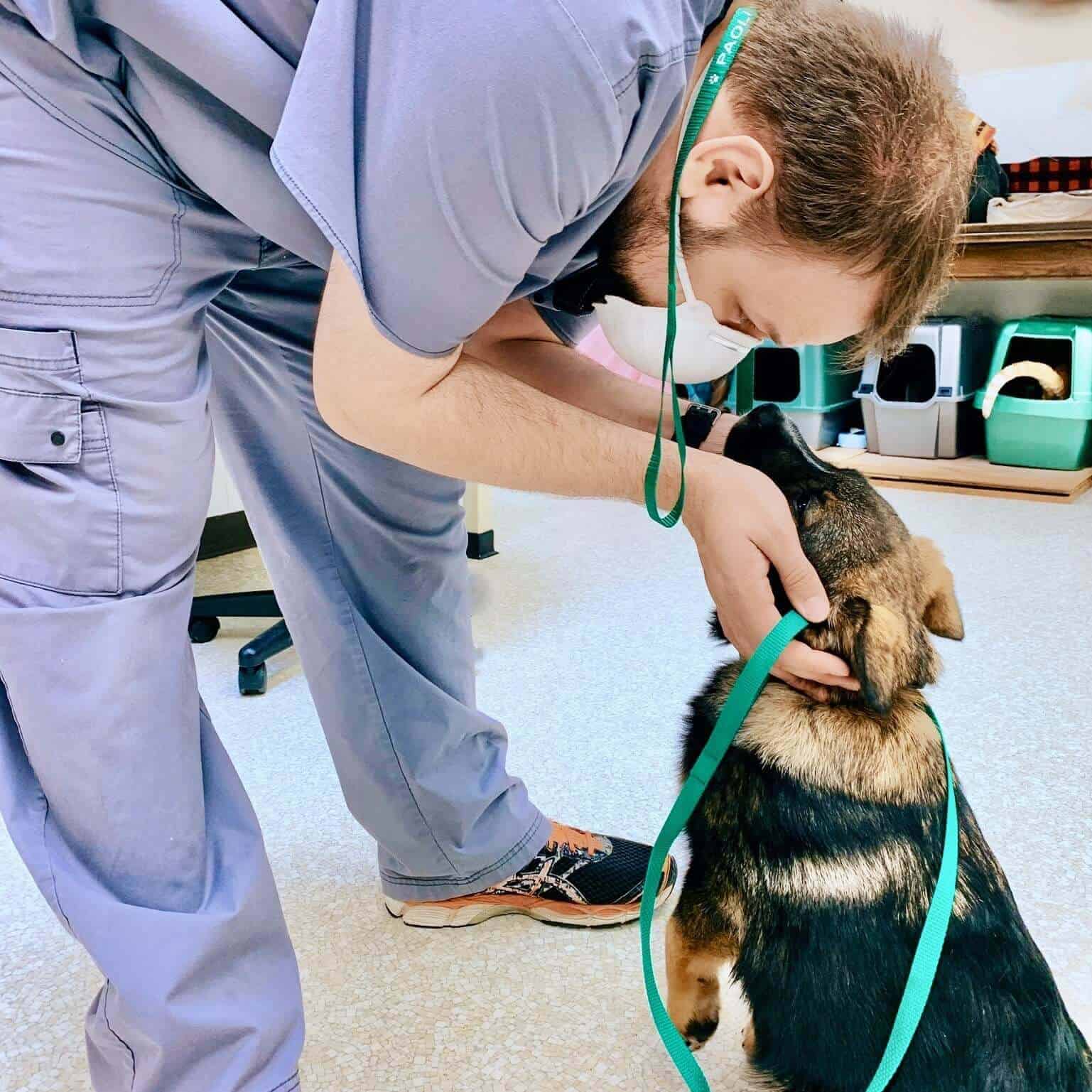 Kennel Assistant, Chris, getting some love from a sweet little boarder Chris Kennel Assistant