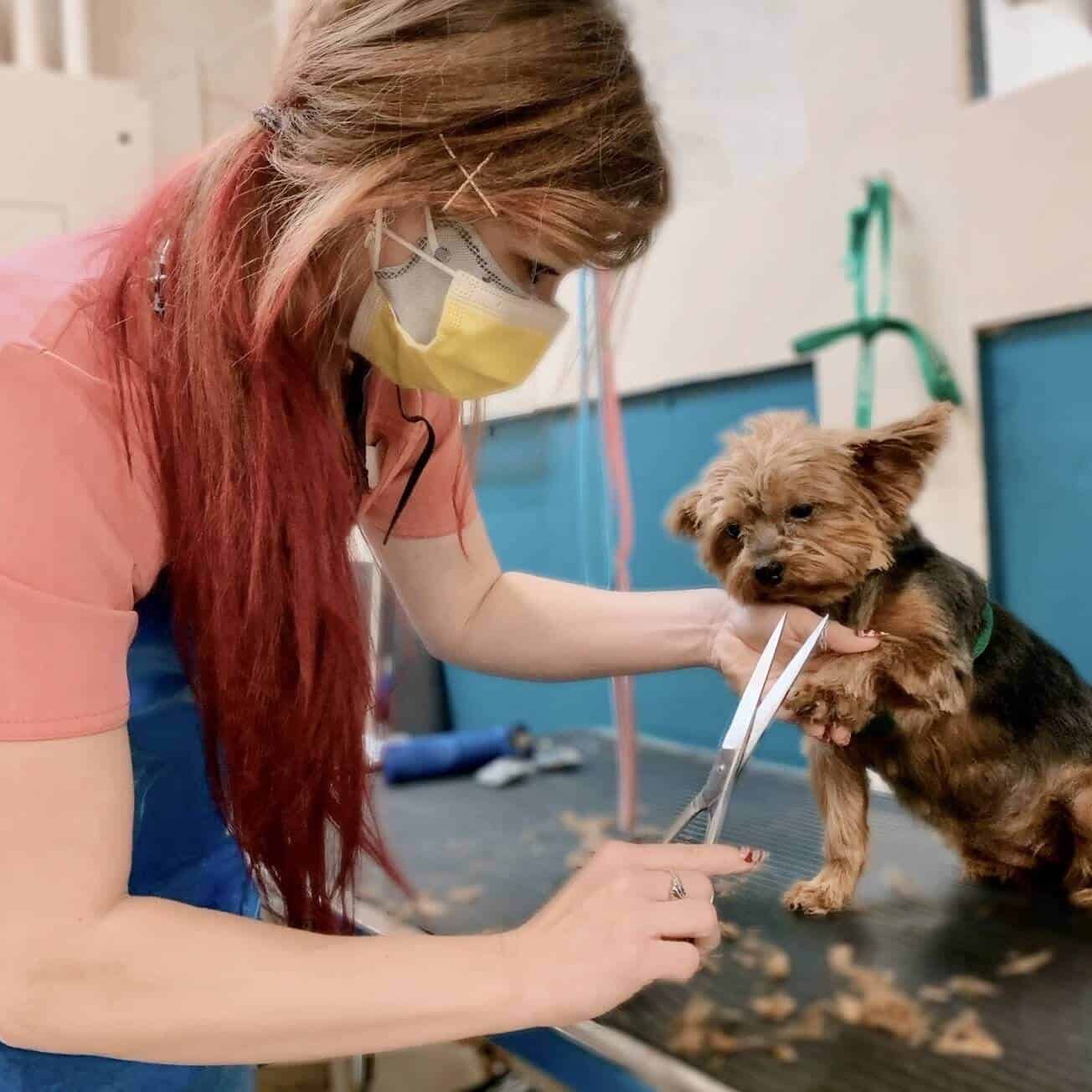 Susan Kennel Assistant and Groomer