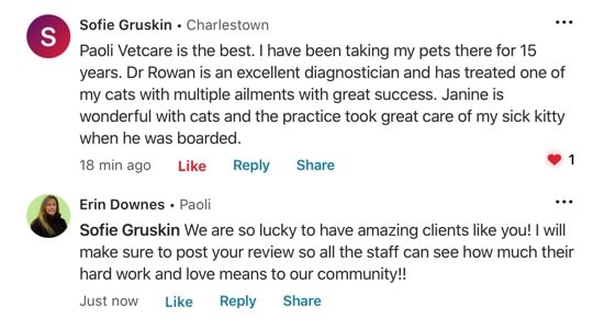 Best Vet Near Me