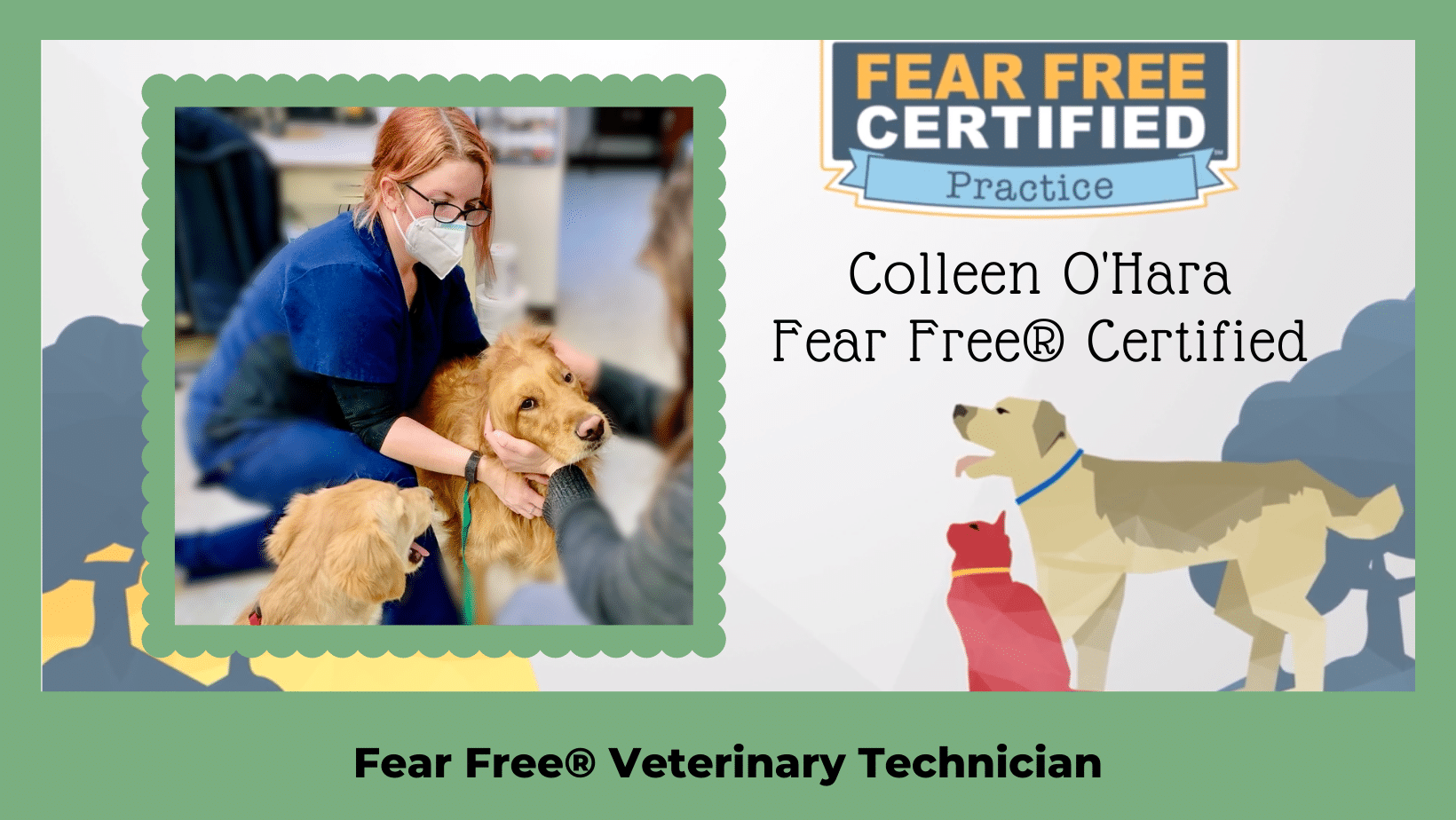 Fear Free Certified Veterinarian Paoli Vetcare