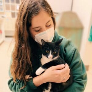 Paoli Vetcare Cat Boarding Service