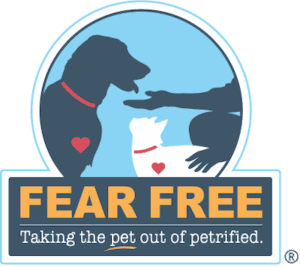 Fear Free Certified Dog and Cat Boarding and Daycare Staff