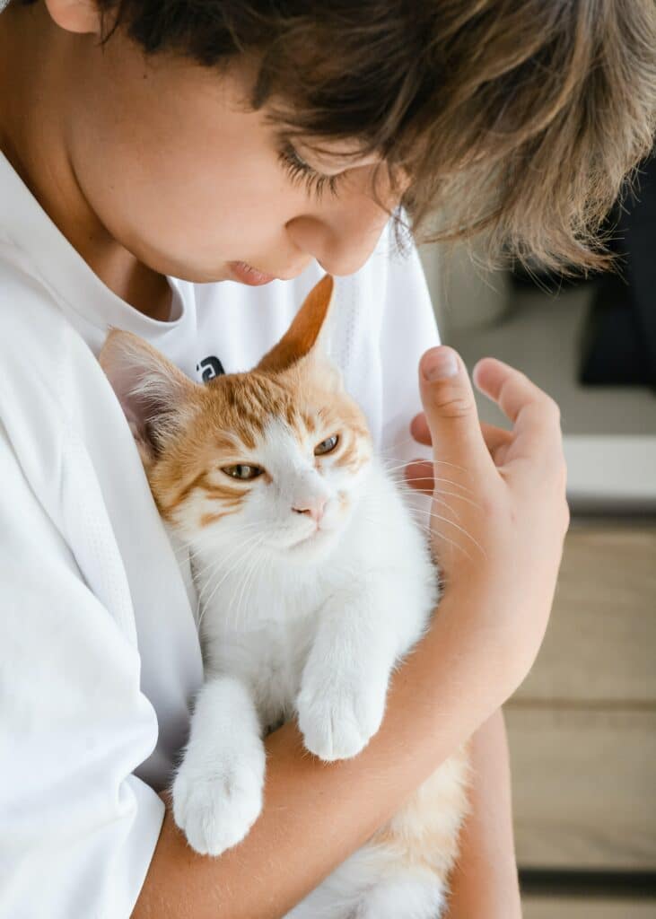 Gastroenteritis in Cats Learn More Paoli Vetcare