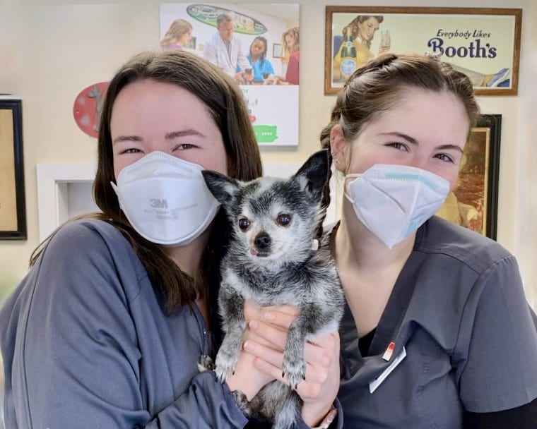 Vet Tech and cat at animal hospital