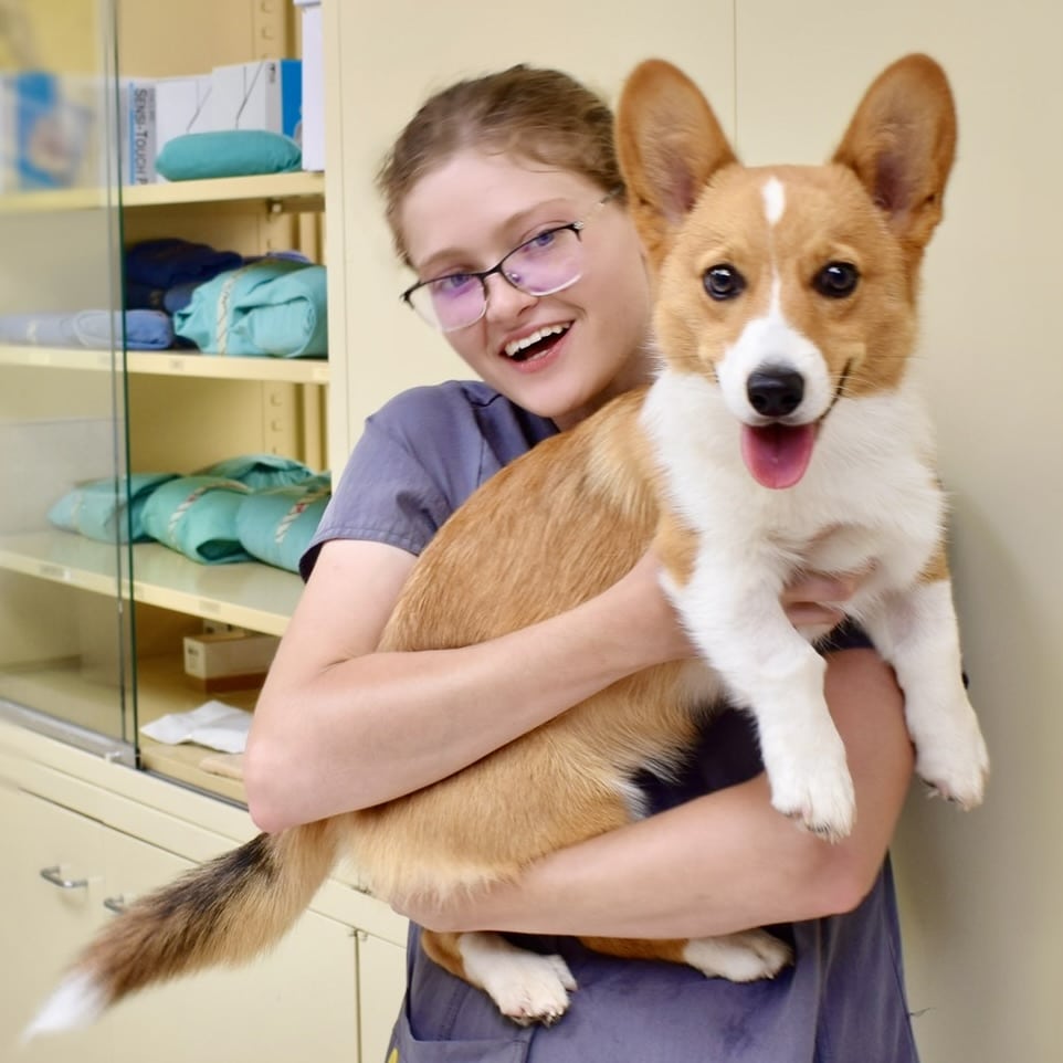 Maureen Burns Kennel Assistant Emily Office Manager